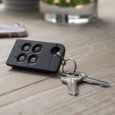 Flint security key fob