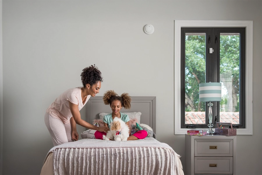 smoke & carbon detector Flint