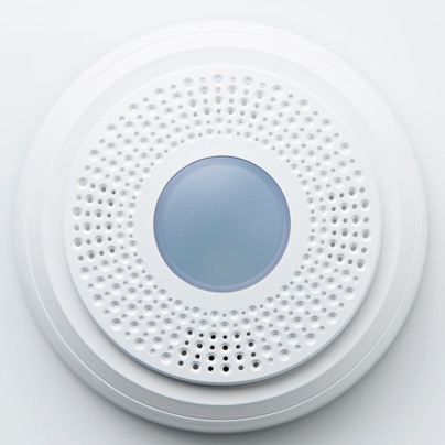 Flint high-decibel alarm